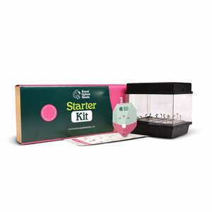 Starters Kit Feminized