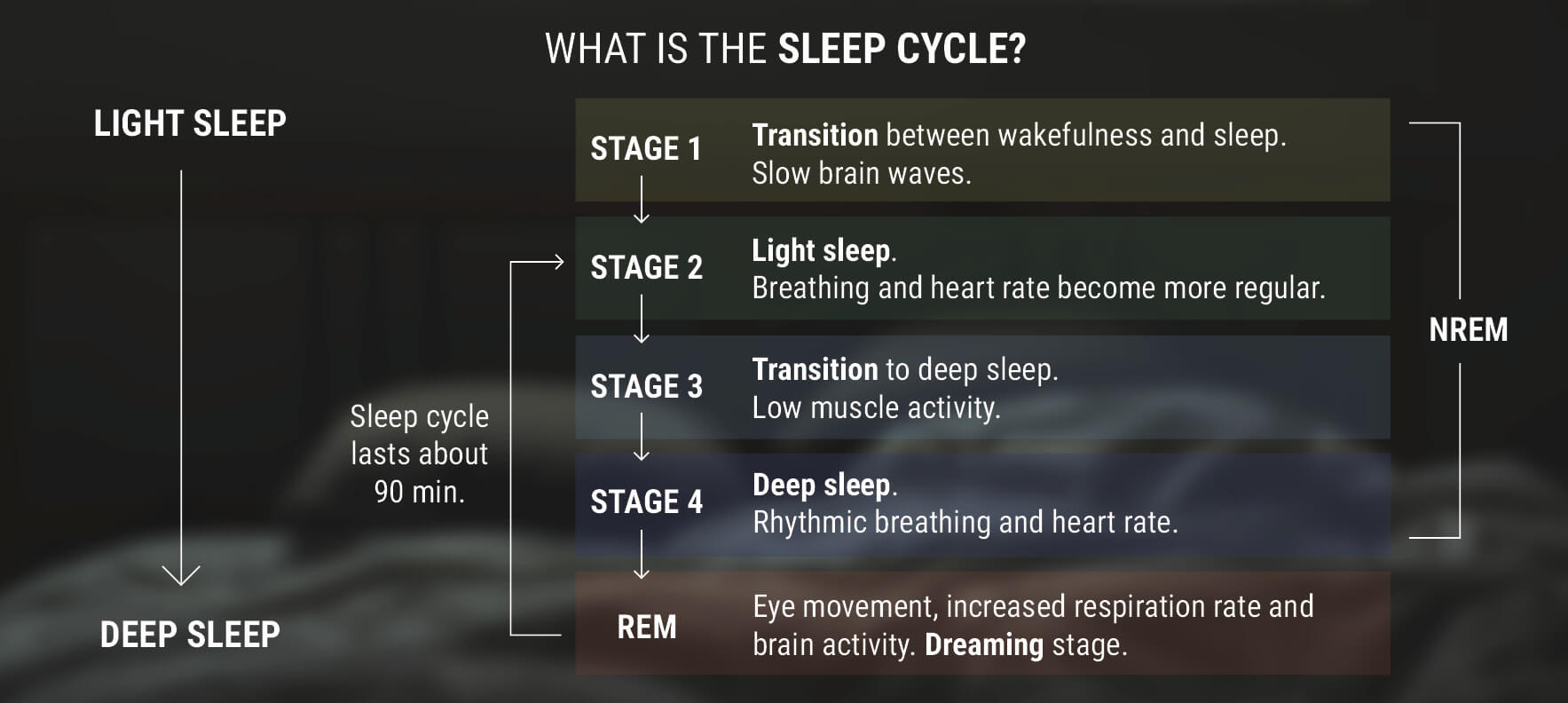 Ce este ciclul de somn?