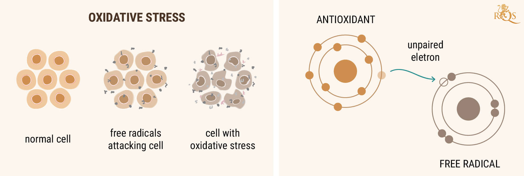 ULEI CBD PE POST DE ANTIOXIDANT