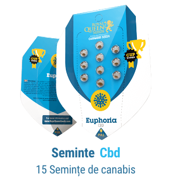 cbd seminte