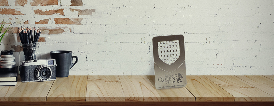 Grindere De Tip Card Grindere De Tip Card