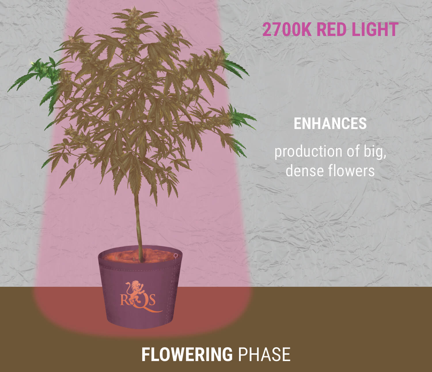 2700K red light during flowering