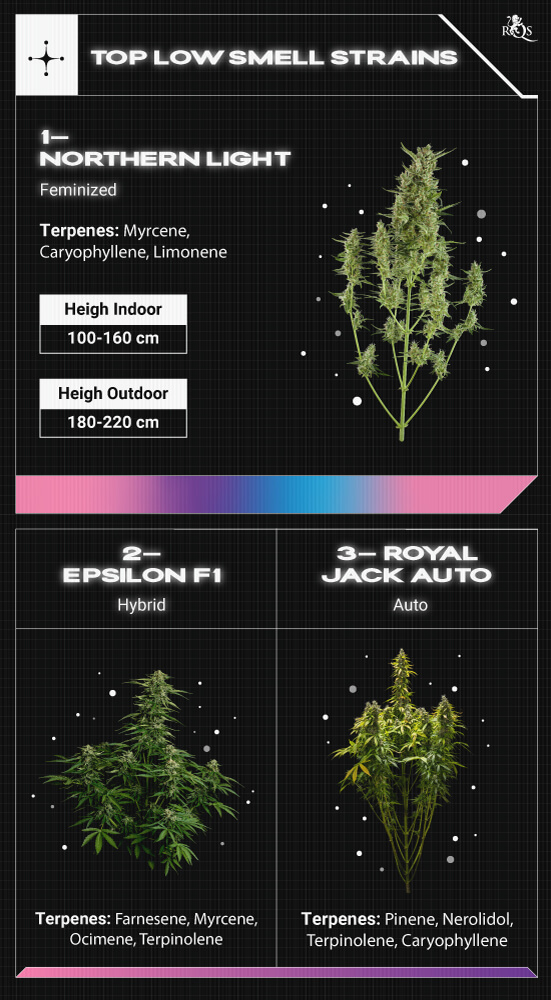 Top RQS Low Smell Strains