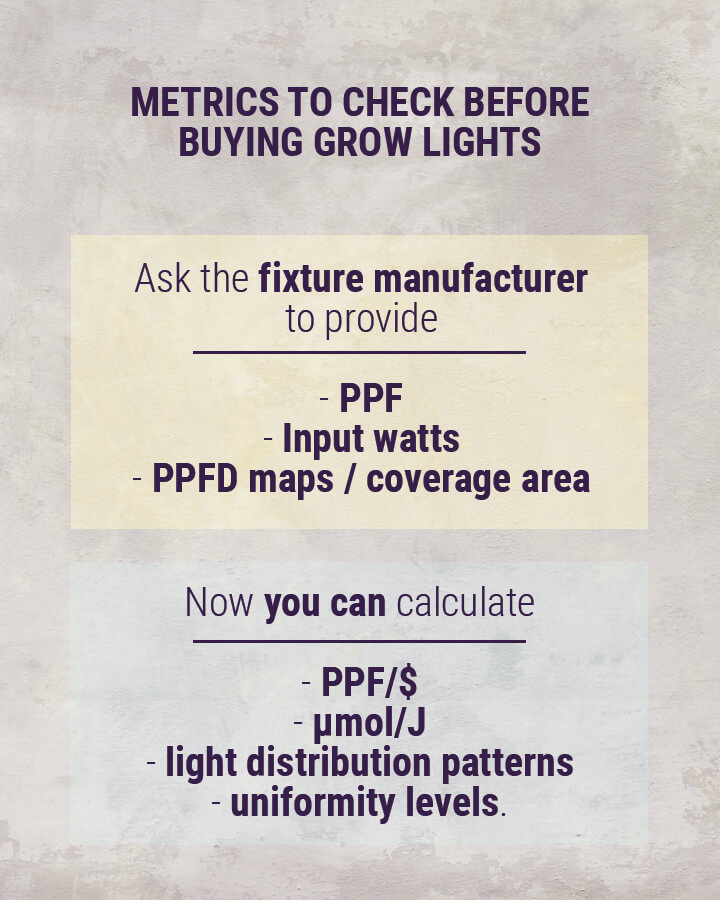 Sfaturi pentru cultivarea canabisului: Cum să îți configurezi luminile de creștere de interior