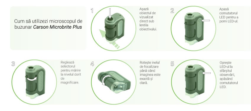 How to use the Carson Microbrite Plus Pocket Microscope