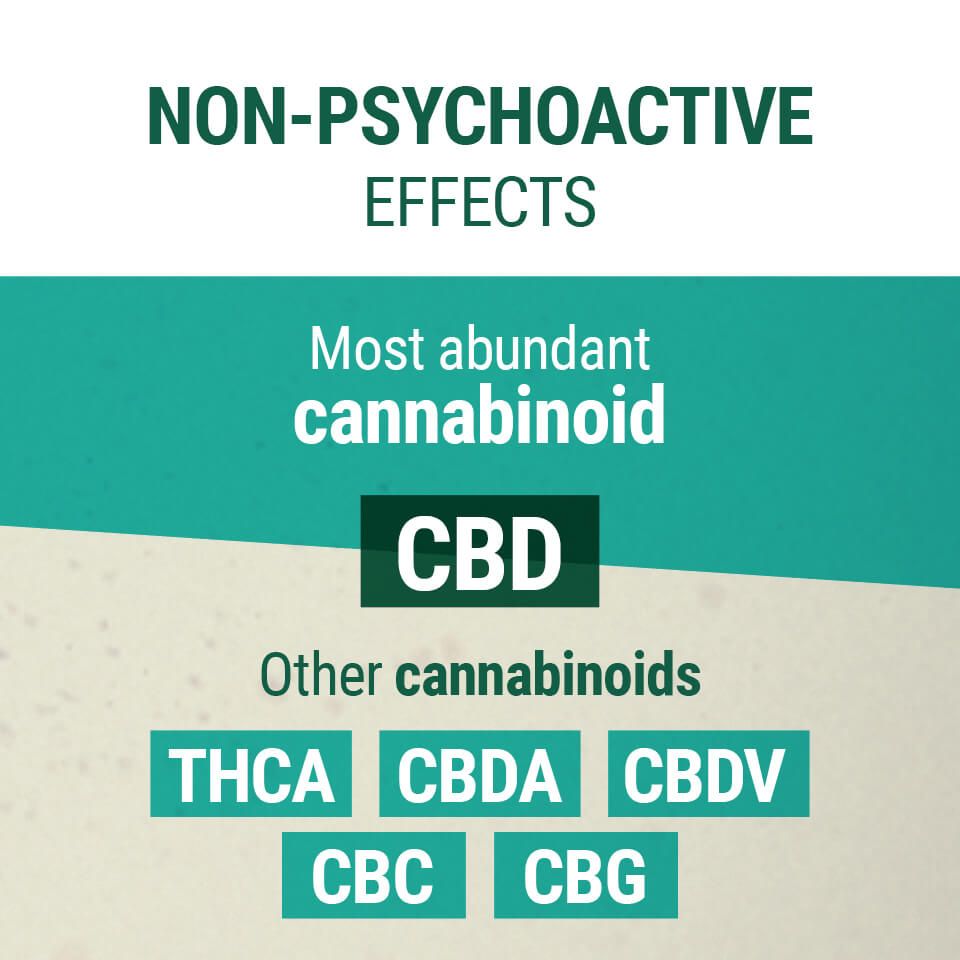 Non-Psychoactive Cannabinoids