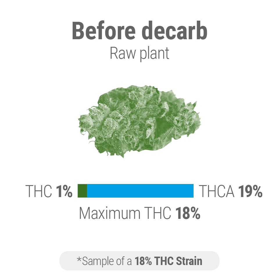 Cum să decarboxilezi canabisul