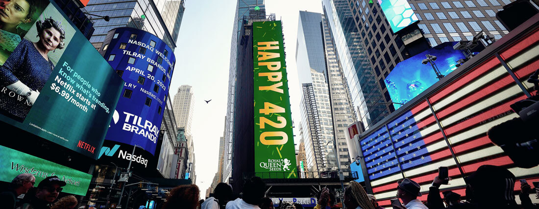 Royal Queen Seeds in Times Square