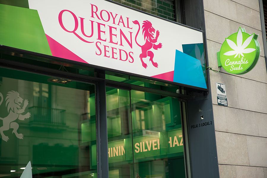 Vizitează magazinul Royal Queen Seeds din Barcelona
