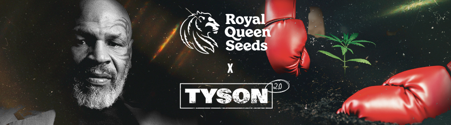 Mike Tyson, Dynamite Mike and Royal Queen Seeds collaboration