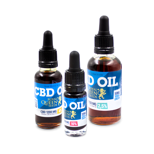 CBD Oil CBD Oil by Royal Queen Seeds