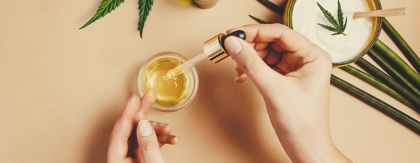Cum să faci ulei din semințe de canabis medicinal Cum să faci ulei din semințe de canabis medicinal