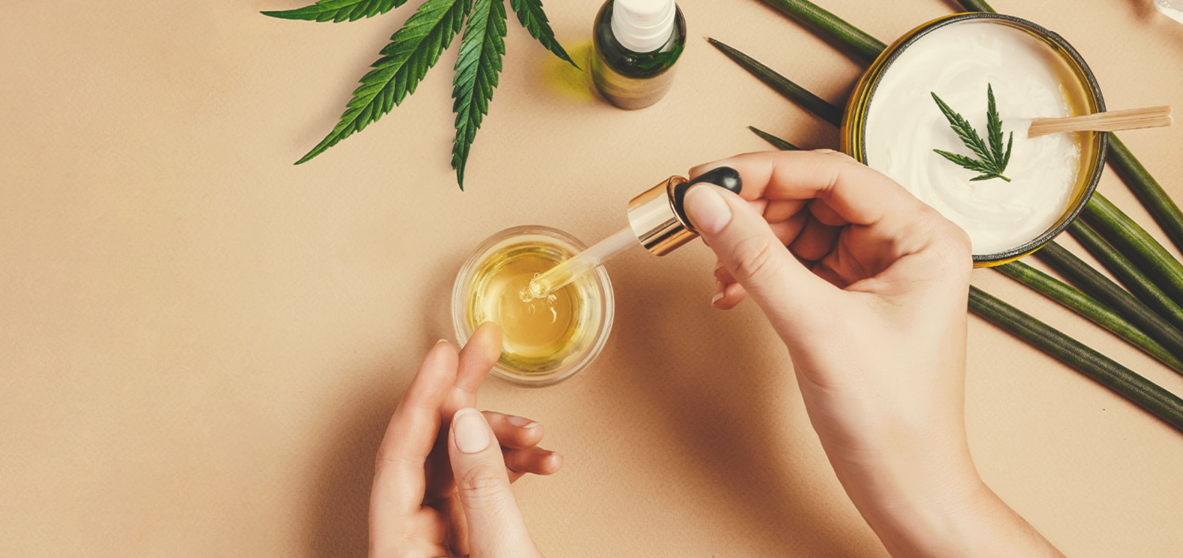 Cum să faci ulei din semințe de canabis medicinal Cum să faci ulei din semințe de canabis medicinal