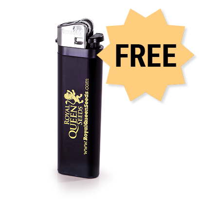 Brichete Gratis Free RQS Lighter