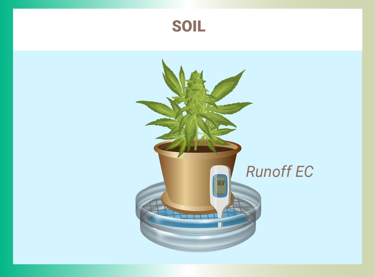 HOW TO MEASURE NUTRIENT CONCENTRATION