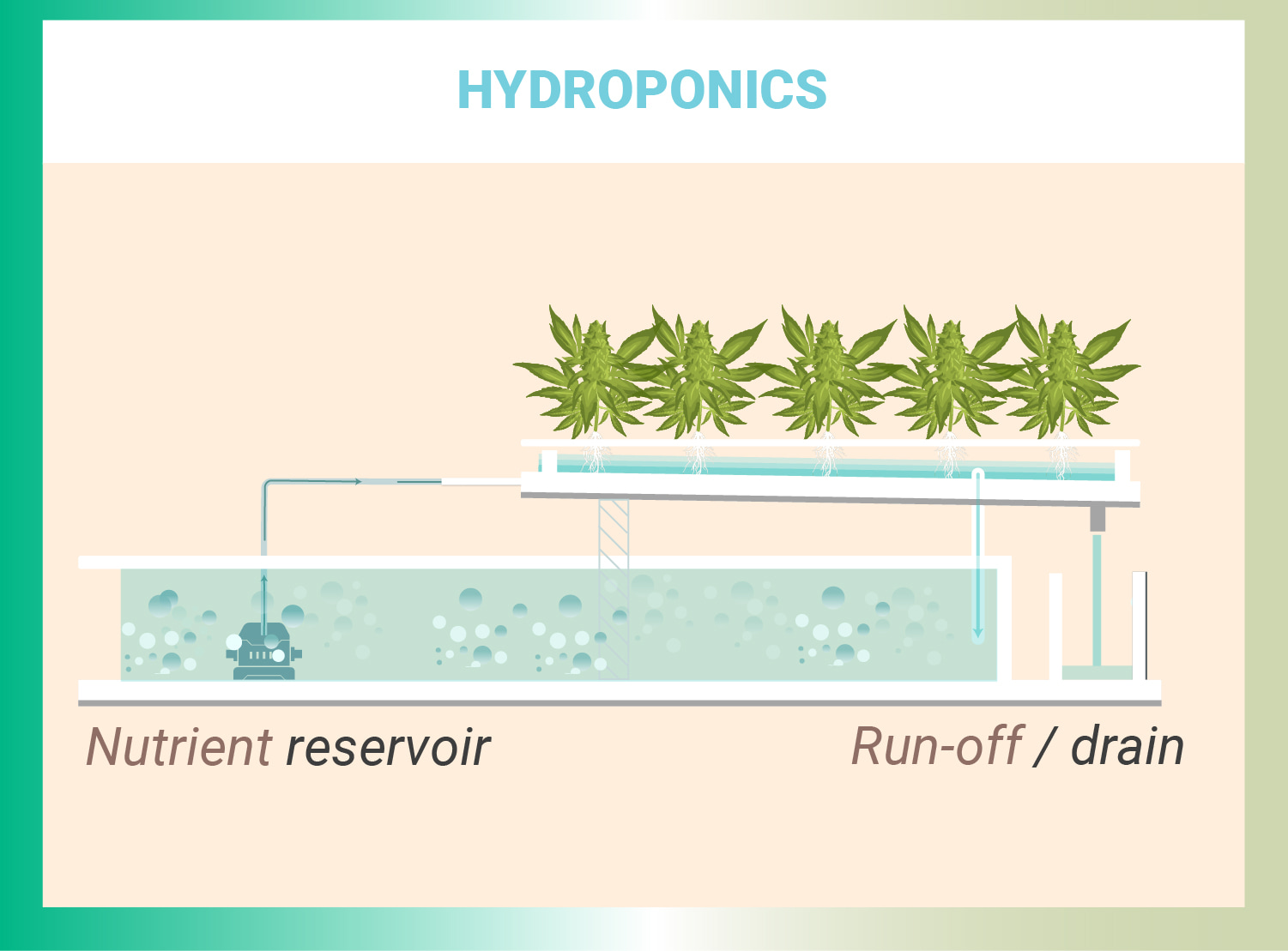 HOW TO MEASURE NUTRIENT CONCENTRATION