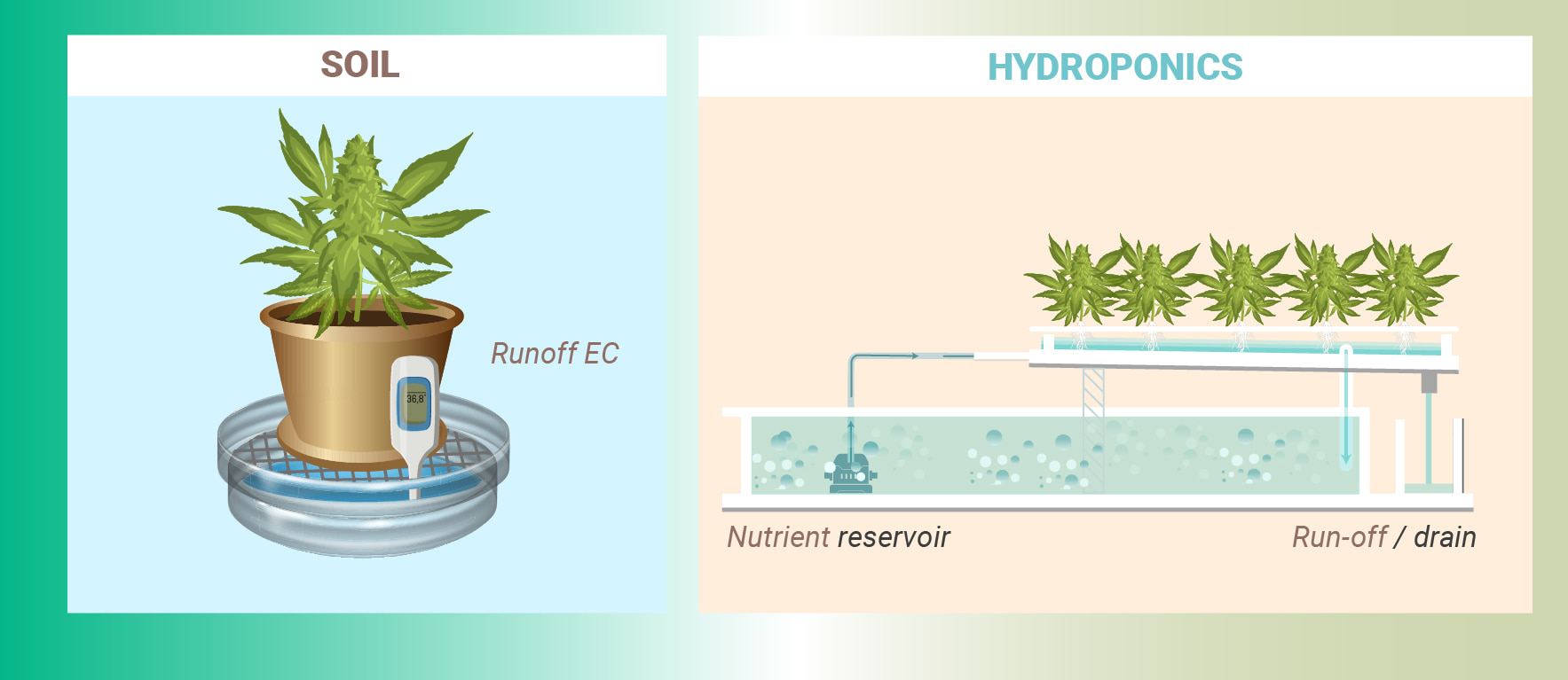 HOW TO MEASURE NUTRIENT CONCENTRATION