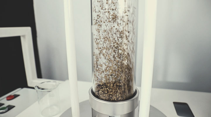 Procesul de control al calității al semințelor Royal Queen Seeds: pas cu pas