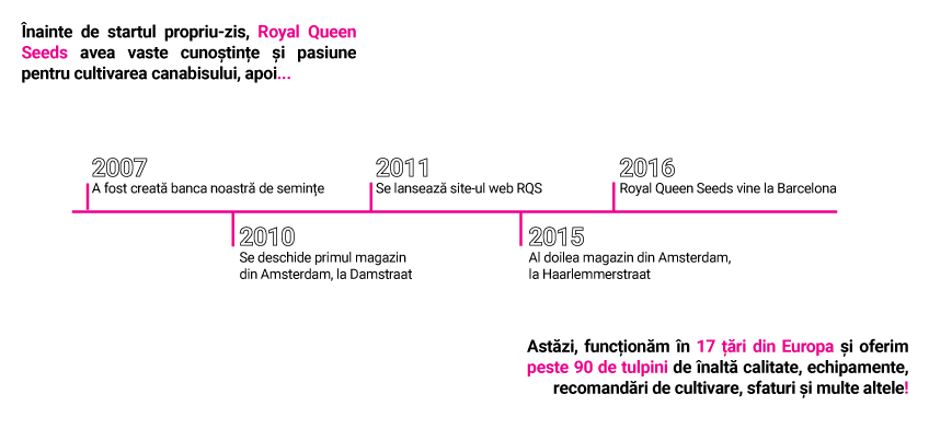 RQS Storyline RQS Storyline