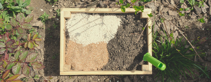 Mai multe sfaturi pentru cultivarea cu succes a canabisului organic la exterior