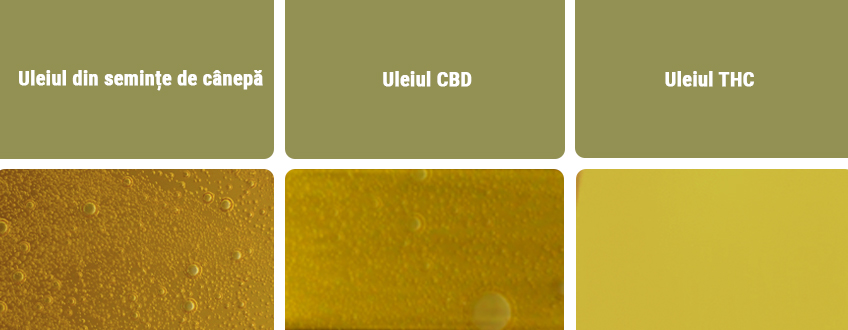 Uleiul CBD vs Alte tipuri de ulei