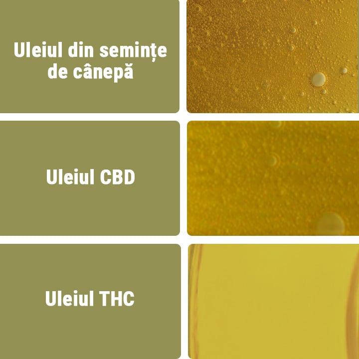 Uleiul CBD vs Alte tipuri de ulei