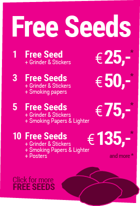 free cannabis seeds
