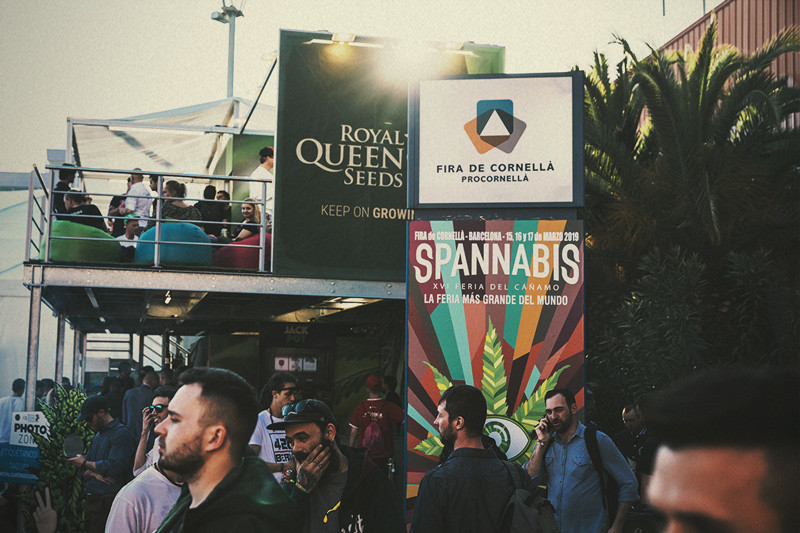 Spannabis 2019: Royal Queen Seeds câștigă premiul Cea mai bună bancă de semințe!