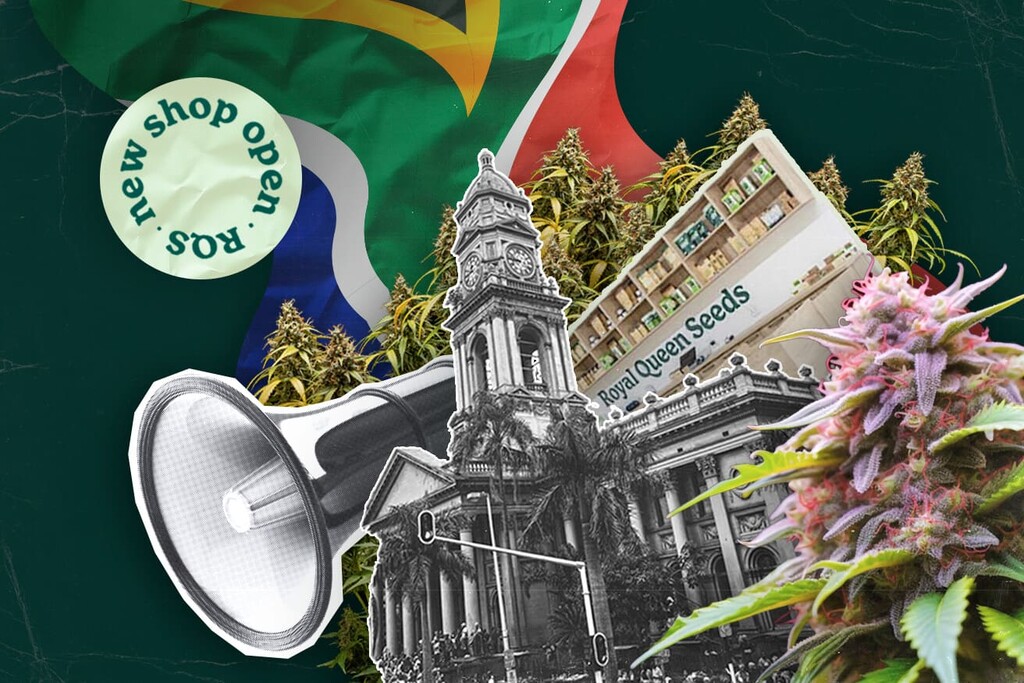 Royal Queen Seeds deschide primul magazin în Durban, aducând semințe premium de canabis în Africa de Sud