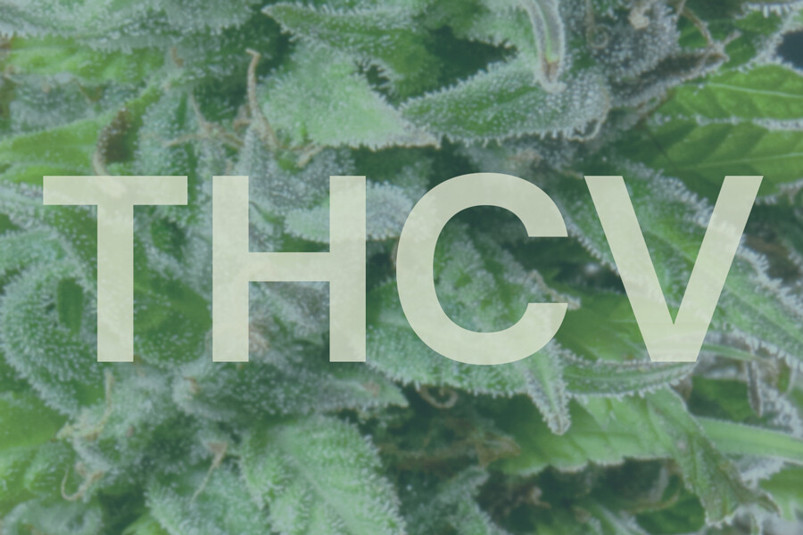 Ce este THCV și cum se compară cu THC?