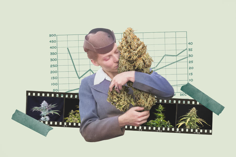 8 Metode de intensificare a high-ului de la canabis