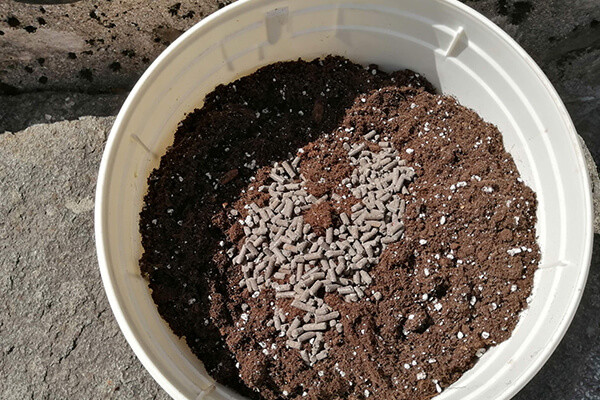 Nutriție Organică Easy Boost