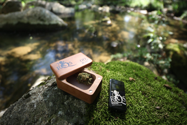 Brichetă cu plasmă RQS