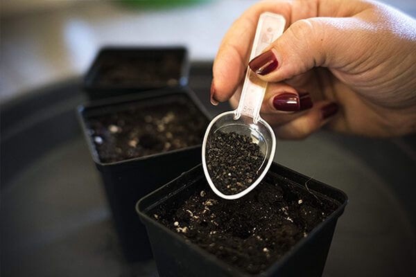 Easy Roots - Amestecul Mycorrhiza