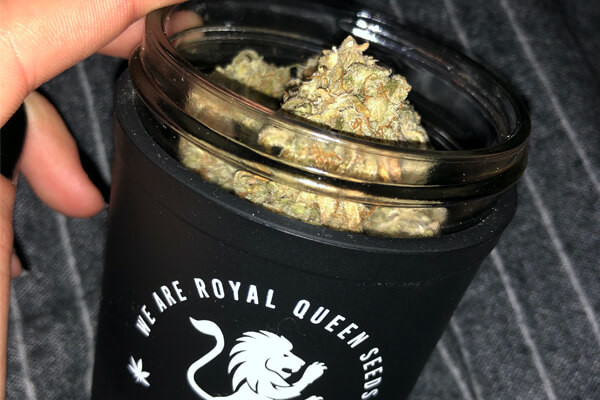 Borcan Re:stash RQS Borcan Re:stash RQS