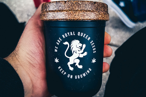 Borcan Re:stash RQS Borcan Re:stash RQS