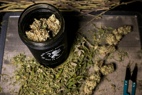 Borcan Re:stash RQS Borcan Re:stash RQS