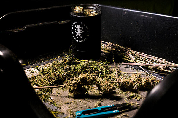 Borcan Re:stash RQS Borcan Re:stash RQS