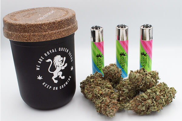 Borcan Re:stash RQS Borcan Re:stash RQS